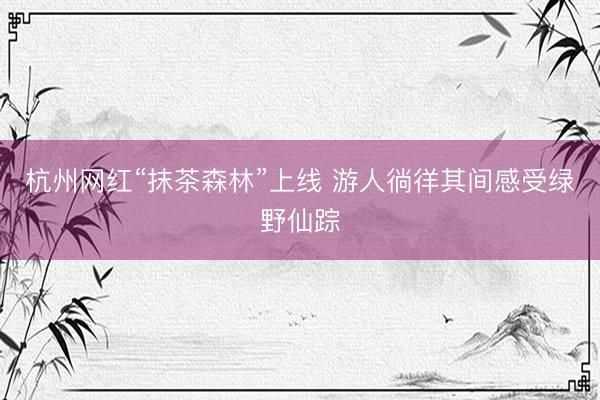 杭州网红“抹茶森林”上线 游人徜徉其间感受绿野仙踪