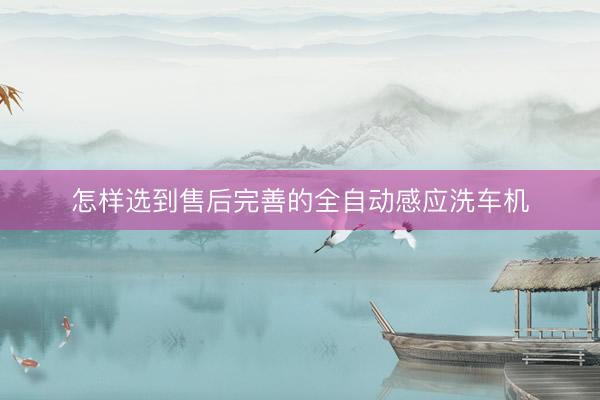 怎样选到售后完善的全自动感应洗车机