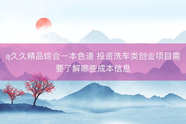 ą久久精品综合一本色道 投资洗车类创业项目需要了解哪些成本信息