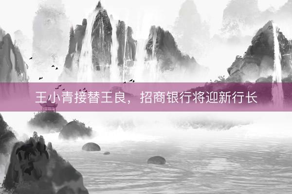 王小青接替王良，招商银行将迎新行长