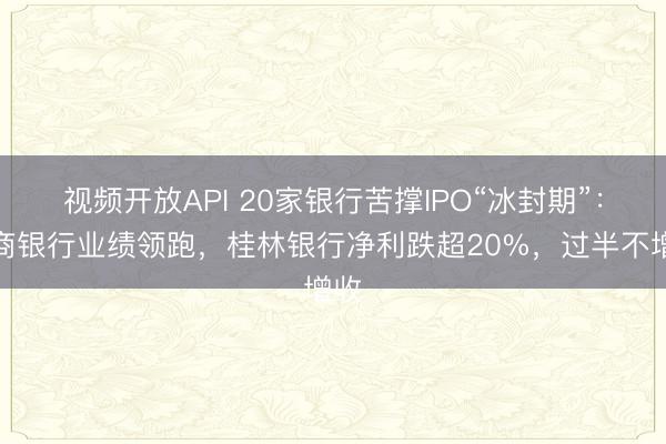 视频开放API 20家银行苦撑IPO“冰封期”：徽商银行业绩领跑，桂林银行净利跌超20%，过半不增收