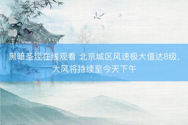 黑暗圣经在线观看 北京城区风速极大值达8级，大风将持续至今天下午