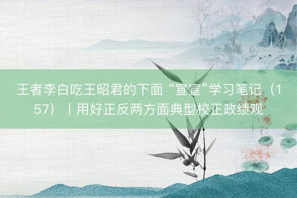 王者李白吃王昭君的下面 “宣宣”学习笔记（157）丨用好正反两方面典型校正政绩观