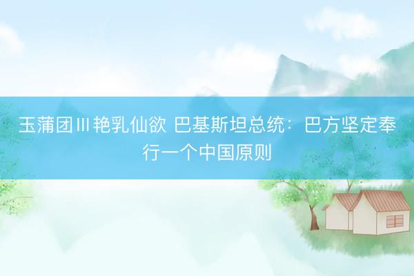 玉蒲团Ⅲ艳乳仙欲 巴基斯坦总统：巴方坚定奉行一个中国原则