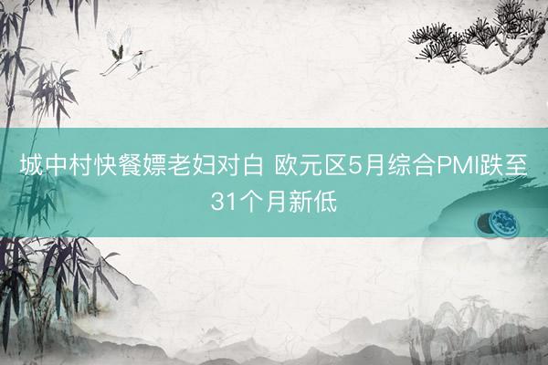 城中村快餐嫖老妇对白 欧元区5月综合PMI跌至31个月新低