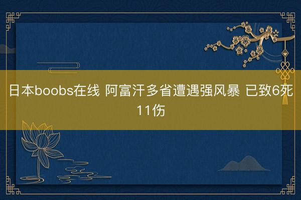 日本boobs在线 阿富汗多省遭遇强风暴 已致6死11伤