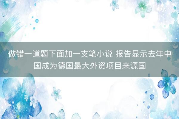 做错一道题下面加一支笔小说 报告显示去年中国成为德国最大外资项目来源国