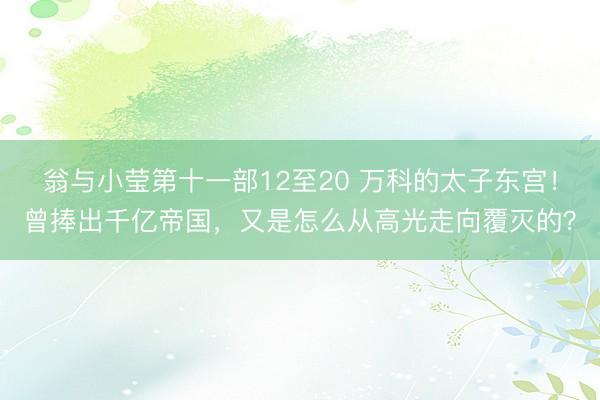 翁与小莹第十一部12至20 万科的太子东宫！曾捧出千亿帝国，又是怎么从高光走向覆灭的？
