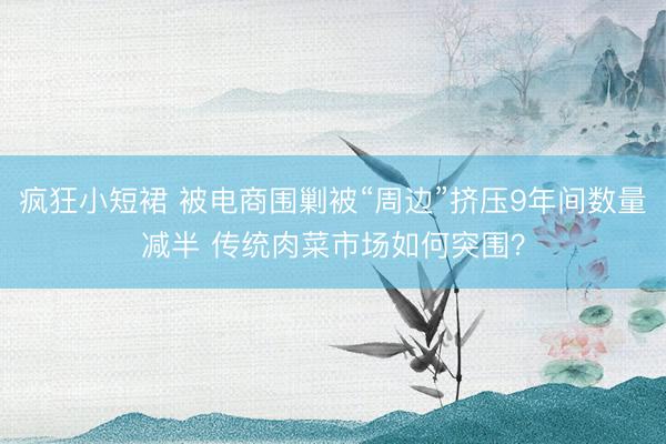 疯狂小短裙 被电商围剿被“周边”挤压9年间数量减半 传统肉菜市场如何突围？