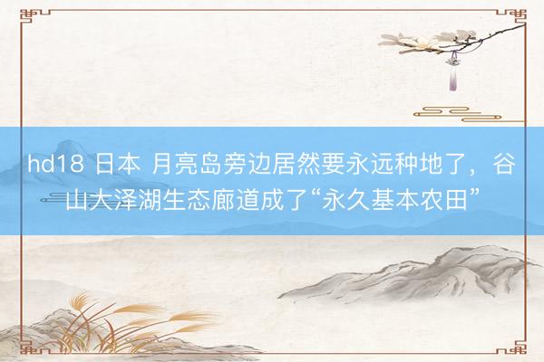 hd18 日本 月亮岛旁边居然要永远种地了，谷山大泽湖生态廊道成了“永久基本农田”