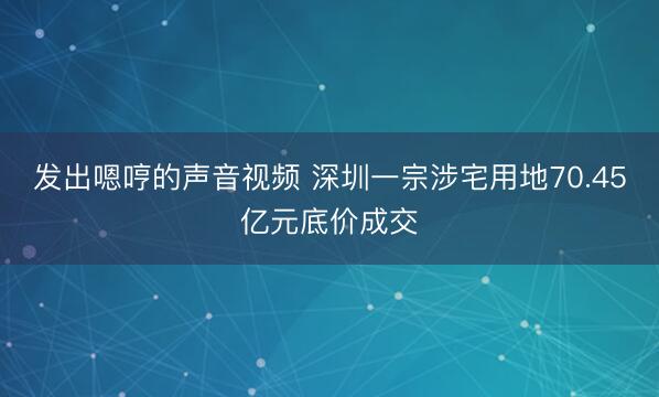 发出嗯哼的声音视频 深圳一宗涉宅用地70.45亿元底价成交