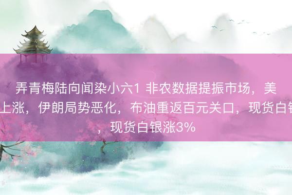 弄青梅陆向闻染小六1 非农数据提振市场，美股期指上涨，伊朗局势恶化，布油重返百元关口，<a href=