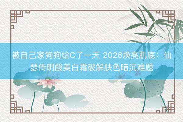 被自己家狗狗给C了一天 2026焕亮肌底:仙瑟传明酸美白霜破解肤色暗沉难题