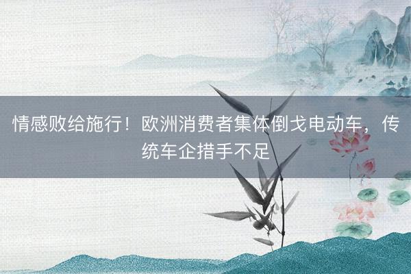 情感败给施行！欧洲消费者集体倒戈电动车，传统车企措手不足
