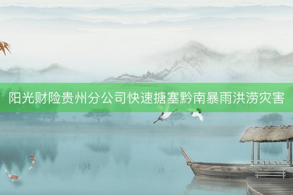 阳光财险贵州分公司快速搪塞黔南暴雨洪涝灾害