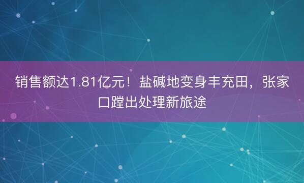 销售额达1.81亿元！盐碱地变身丰充田，张家口蹚出处理新旅途