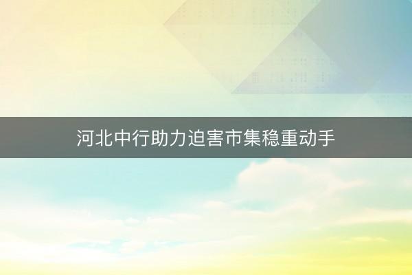 河北中行助力迫害市集稳重动手