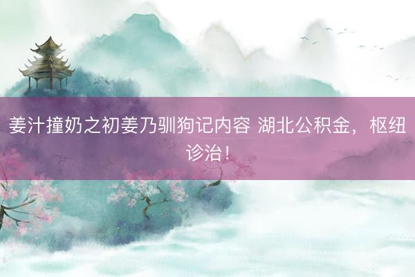 姜汁撞奶之初姜乃驯狗记内容 湖北公积金，枢纽诊治！