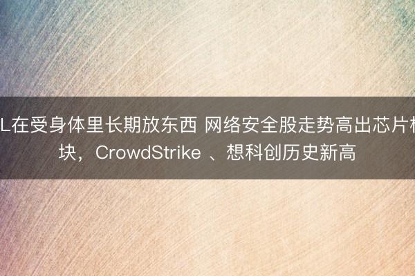 BL在受身体里长期放东西 网络安全股走势高出芯片板块，CrowdStrike 、想科创历史新高