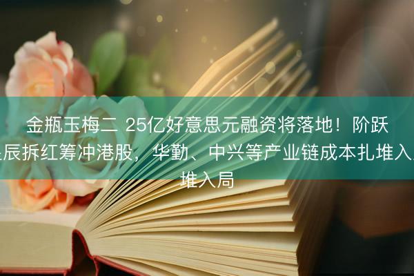 金瓶玉梅二 25亿好意思元融资将落地！阶跃星辰拆红筹冲港股，华勤、中兴等产业链成本扎堆入局