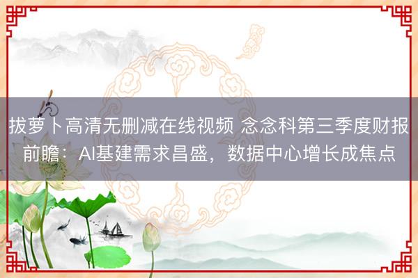 拔萝卜高清无删减在线视频 念念科第三季度财报前瞻：AI基建需求昌盛，数据中心增长成焦点