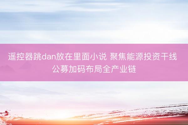 遥控器跳dan放在里面小说 聚焦能源投资干线 公募加码布局全产业链