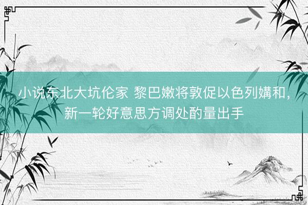 小说东北大坑伦家 黎巴嫩将敦促以色列媾和,新一轮好意思方调处酌量出手