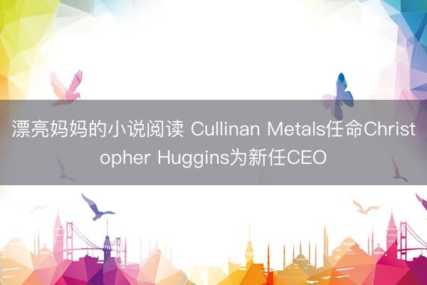漂亮妈妈的小说阅读 Cullinan Metals任命Christopher Huggins为新任CEO