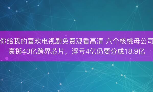 你给我的喜欢电视剧免费观看高清 六个核桃母公司豪掷43亿跨界芯片,浮亏4亿仍要分成18.9亿