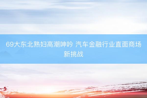69大东北熟妇高潮呻吟 汽车金融行业直面商场新挑战