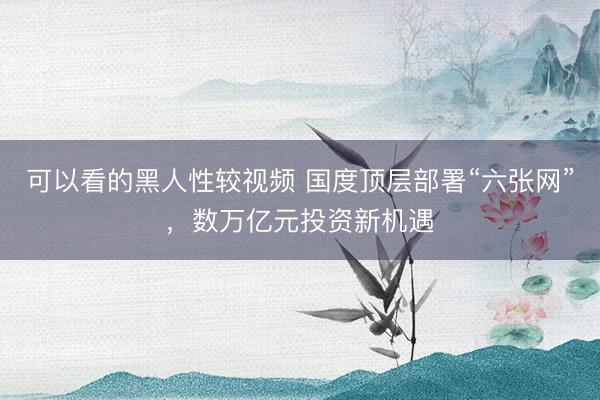 可以看的黑人性较视频 国度顶层部署“六张网”,数万亿元投资新机遇