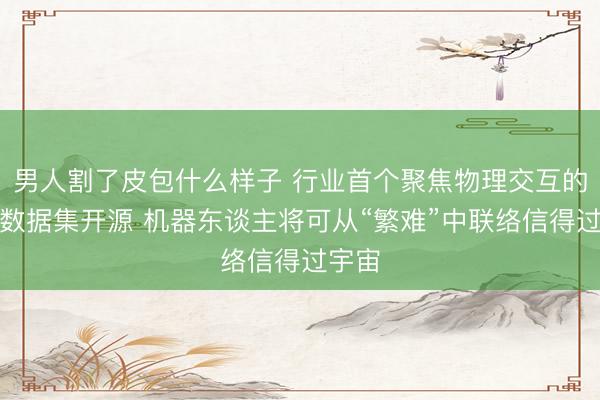 男人割了皮包什么样子 行业首个聚焦物理交互的具身数据集开源 机器东谈主将可从“繁难”中联络信得过宇宙