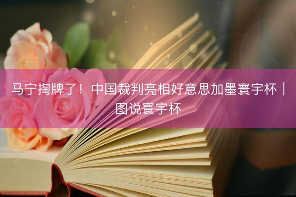 马宁掏牌了！中国裁判亮相好意思加墨寰宇杯｜图说寰宇杯