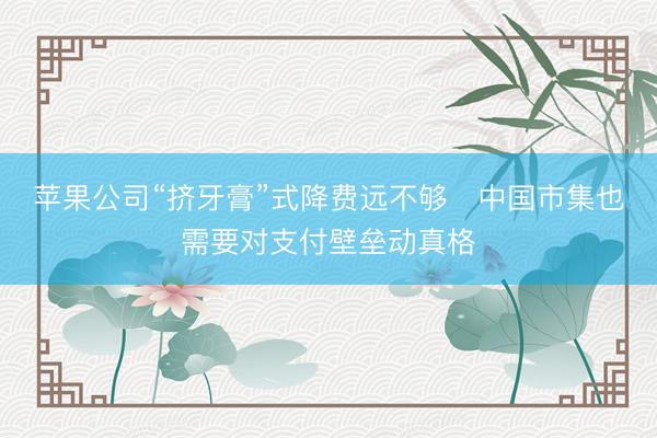 苹果公司“挤牙膏”式降费远不够　中国市集也需要对支付壁垒动真格